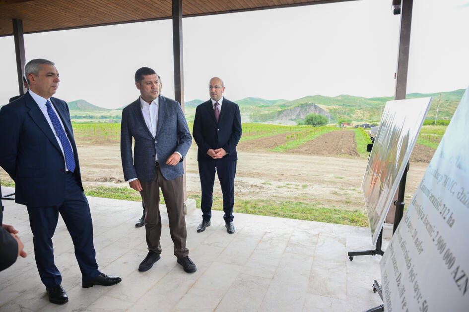 Xocalıda salınmış intensiv bağçılıq təsərrüfatları ilə tanışlıq