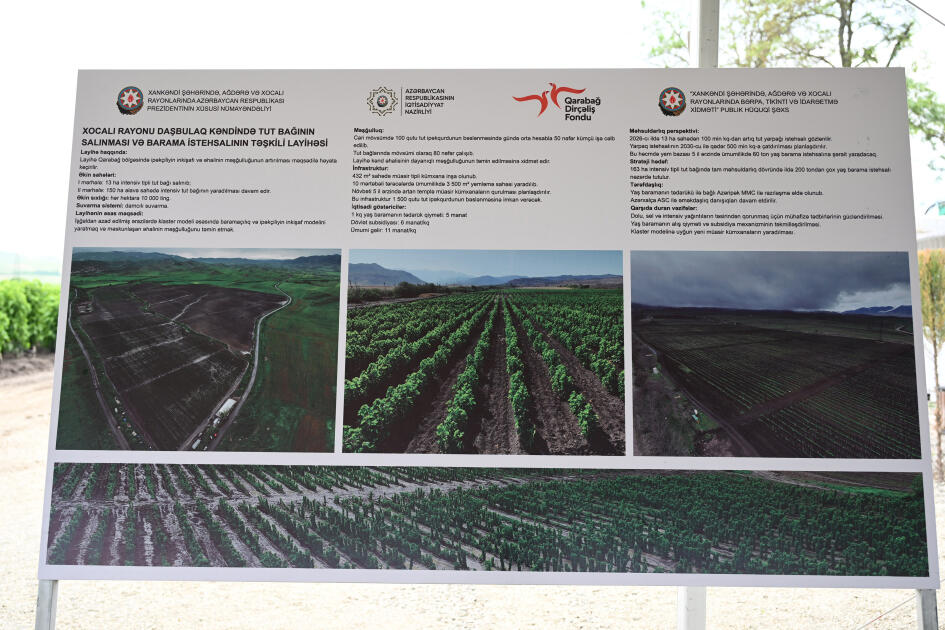Xocalının Daşbulaq kəndində baramaçılığın inkişafı üçün yaradılmış infrastruktura baxış keçirilib