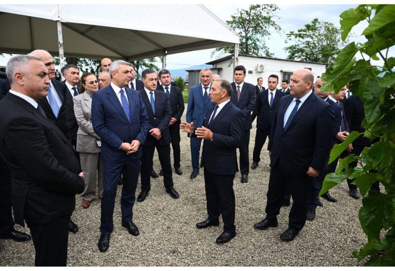 Xocalının Daşbulaq kəndində baramaçılığın inkişafı üçün yaradılmış infrastruktura baxış keçirilib