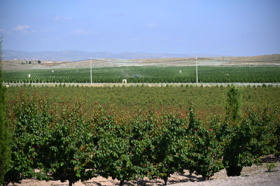 Əlaqələndirmə Qərargahının üzvlərinin Ağdərə və Xocalı rayonlarına səfəri başlayıb
