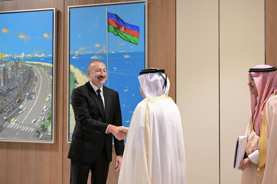 Президент Ильхам Алиев принял делегацию в составе руководителей структур-членов Арабской координационной группы