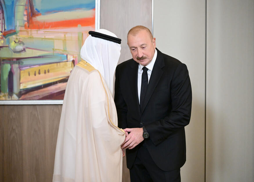 Президент Ильхам Алиев принял делегацию в составе руководителей структур-членов Арабской координационной группы