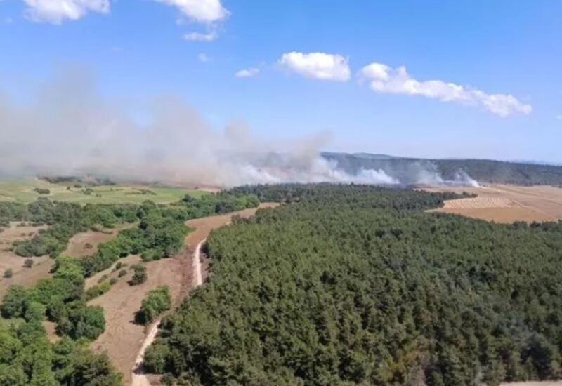 В Турции начался лесной пожар