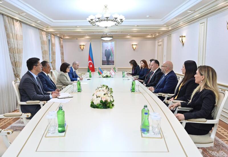 Спикеры парламентов Азербайджана и ТРСК провели встречу