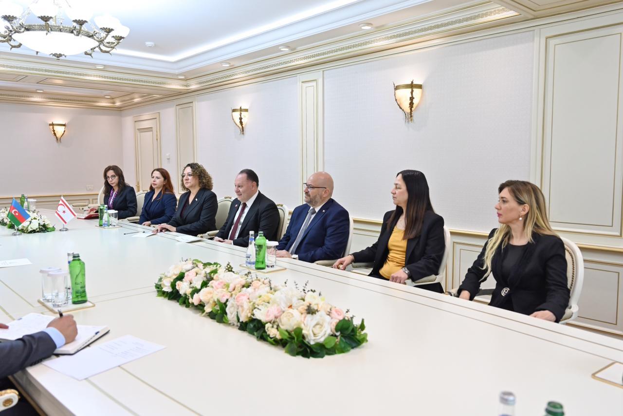 Спикеры парламентов Азербайджана и ТРСК провели встречу