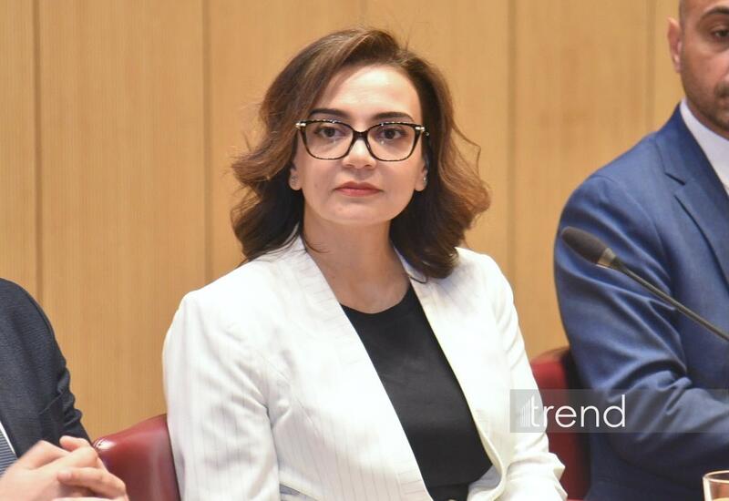 Севиндж Мамедова заявила о высоком научном потенциале Азербайджана