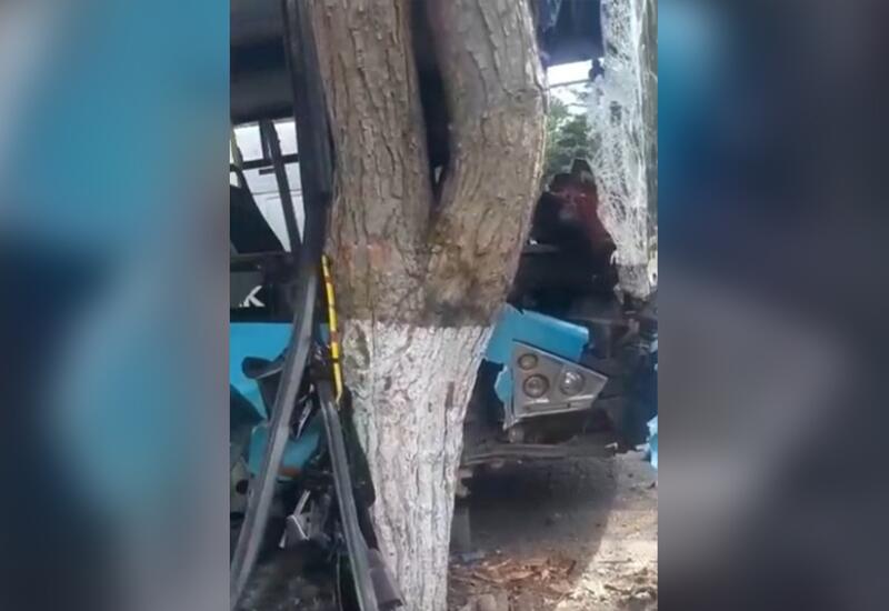 Маршрутный автобус врезался в дерево в Баку: