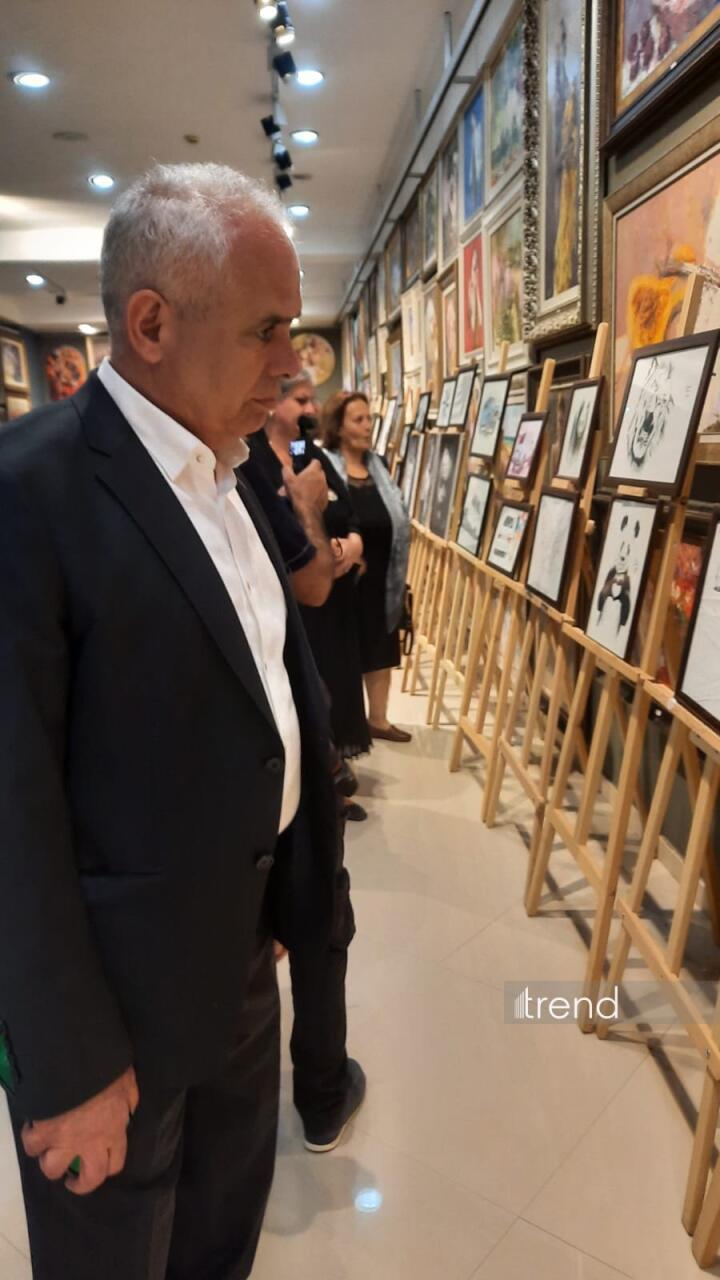 Выставка картин и День памяти шехида Рауфа Ибадова