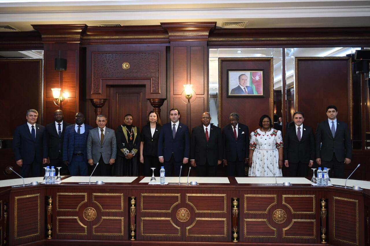 Milli Məclisdə Zimbabve ilə parlamentlərarası əlaqələr müzakirə olunub