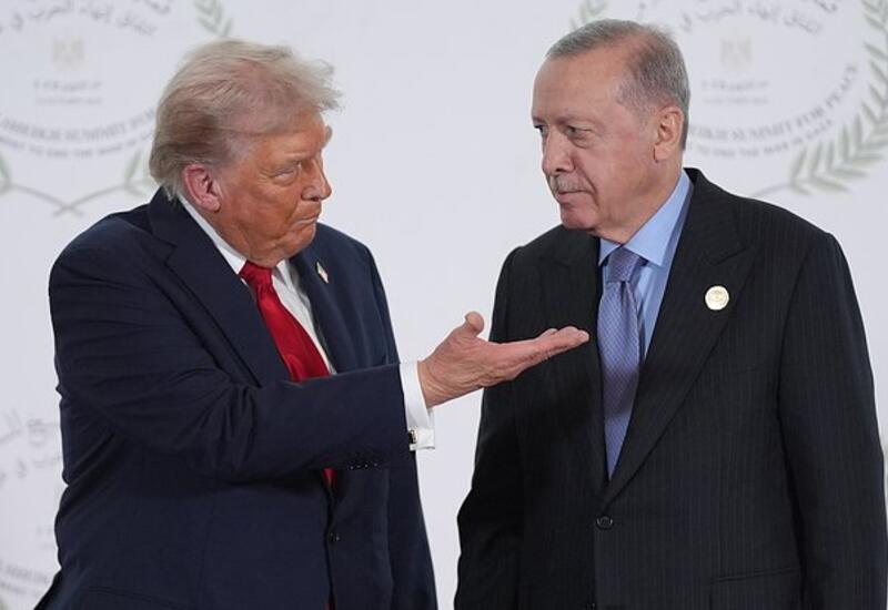 Трамп и Эрдоган обсудят Украину