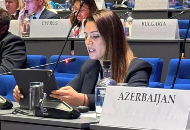 Bu gün regionumuzun davamlı sülhə nail olmaq üçün real imkanı var