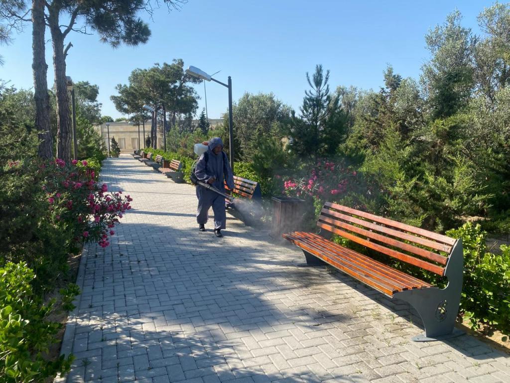 Təmiz və yaşıl Bakı
