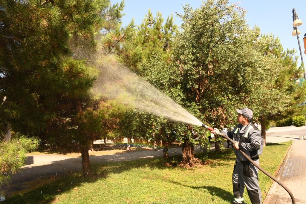 Təmiz və yaşıl Bakı