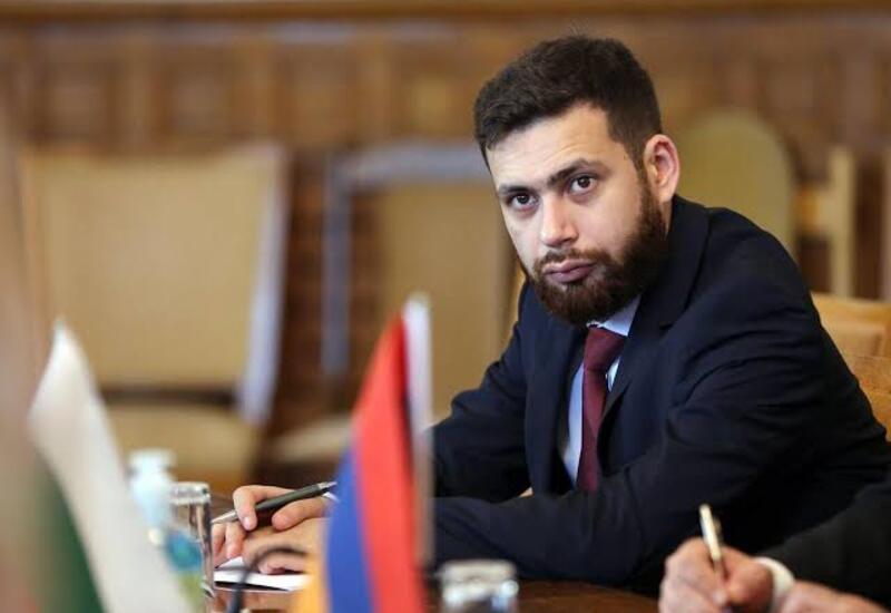 В Армении могут назначить нового спецпредставителя по Турции