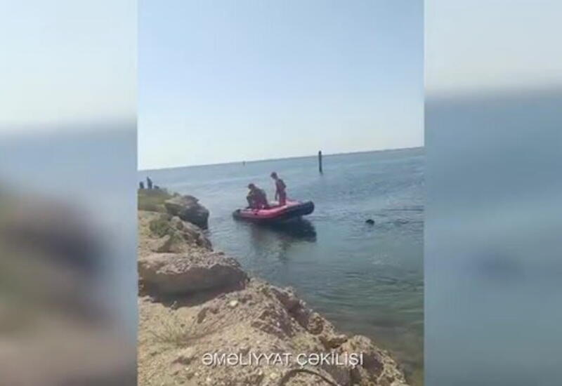 Вертолет привлечен к поискам пропавшей в море 19-летней девушки в Шувеляне