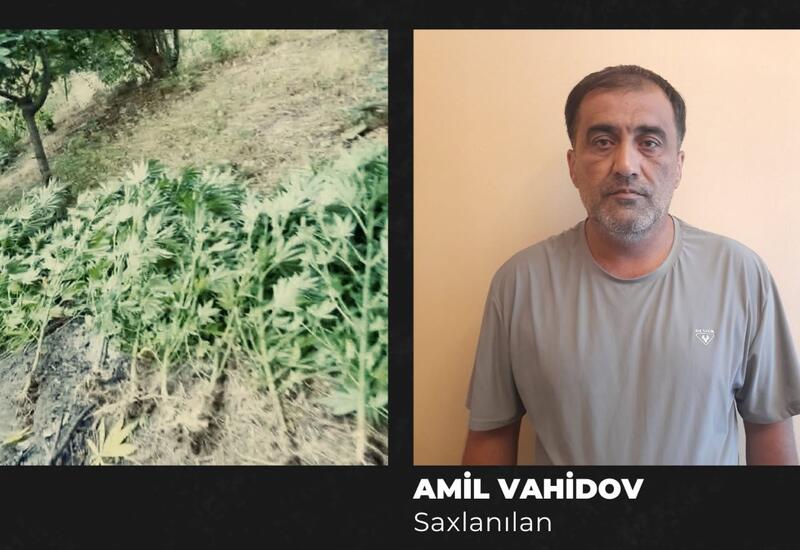 Amil Vahidov SAXLANILDI