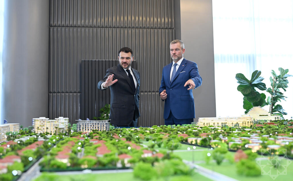 Slovakiya Prezidenti “Sea Breeze”lə tanış olub