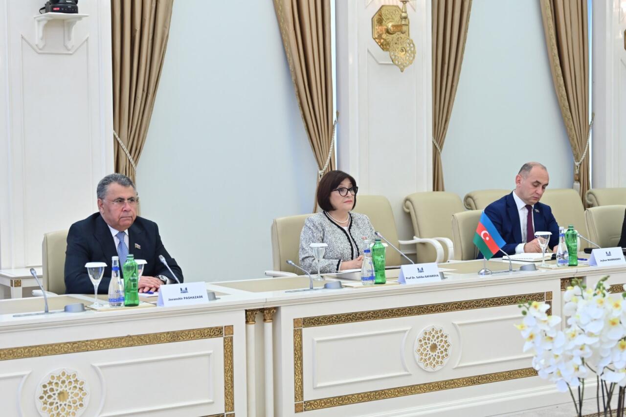 Азербайджан и Палестина обсудили расширение межпарламентского и гуманитарного сотрудничества