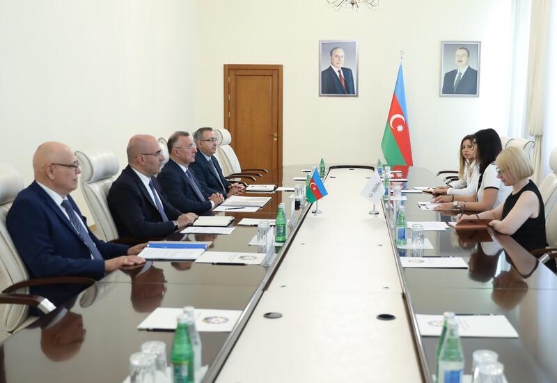 Минздрав Азербайджана и Глобальный фонд обсудили совместные проекты