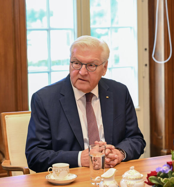 Cостоялась встреча Президента Ильхама Алиева с Президентом Франком-Вальтером Штайнмайером в расширенном составе