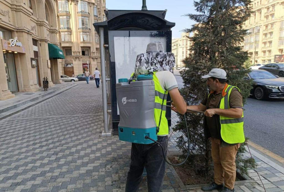 В Баку прошел очередной субботник