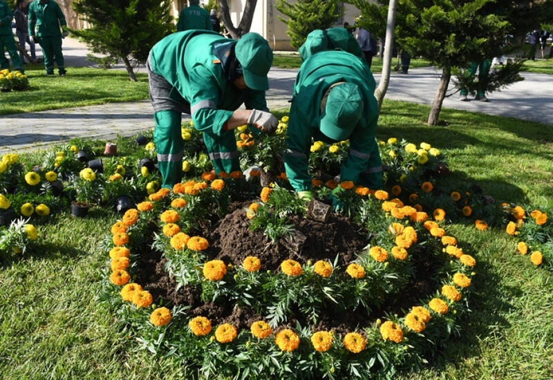 В Баку прошел очередной субботник