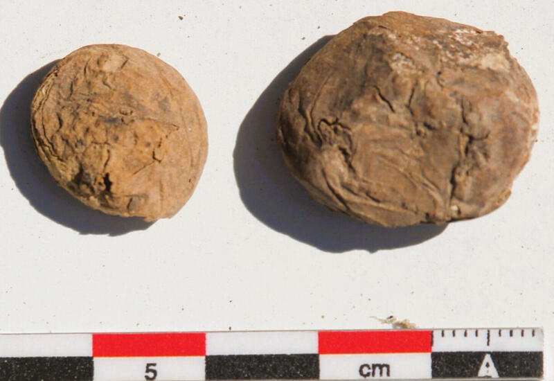 Археологи нашли в Перу 500-летние чипсы