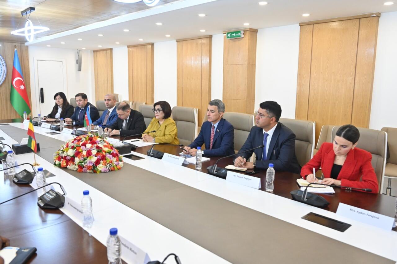 Sahibə Qafarova Efiopiya Federasiya Palatasının sədri ilə görüşüb