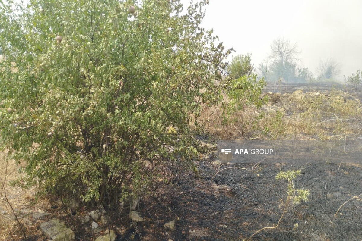 Пожар в Агдаме перекинулся на новые участки