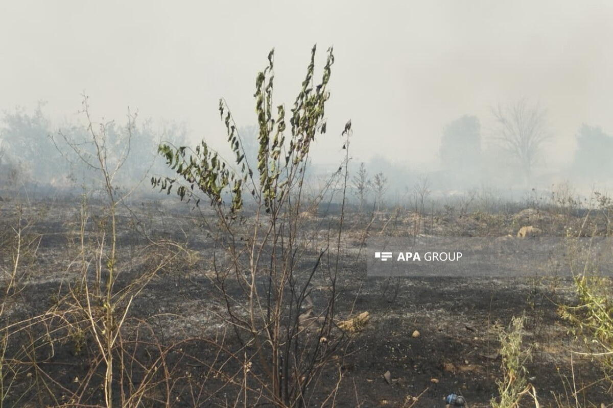 Пожар в Агдаме перекинулся на новые участки
