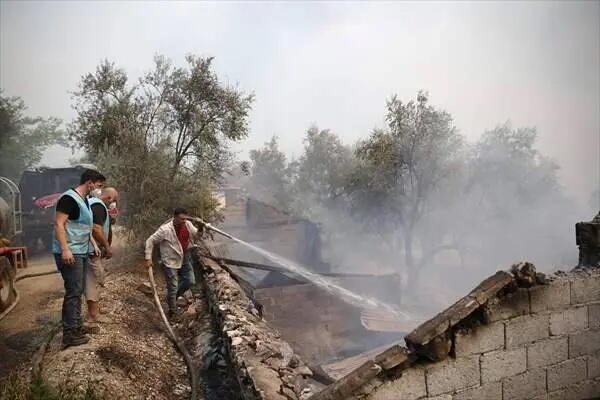 Türkiyədə meşə yanğınları genişlənir