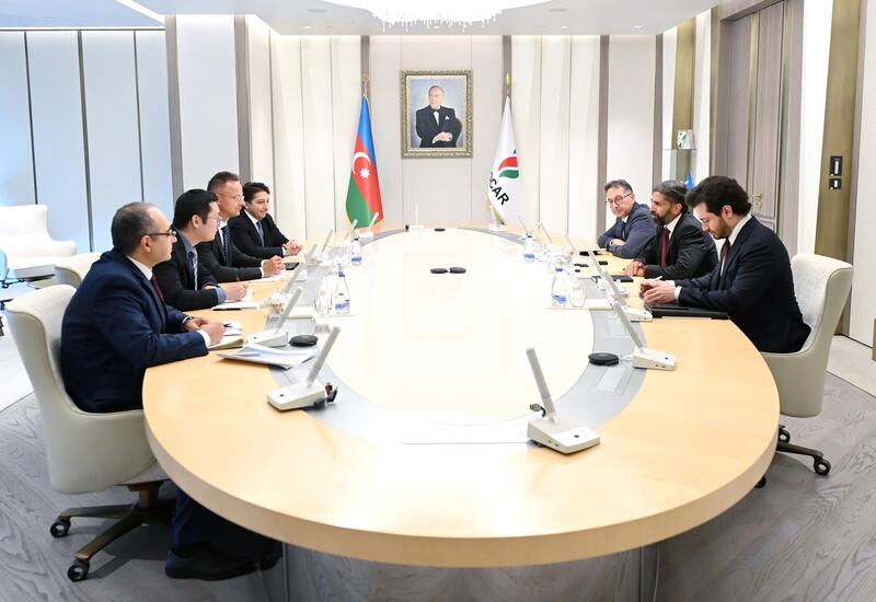 SOCAR-ın prezidenti BYD şirkətinin xarici əlaqələr və yeni biznesin inkişafı üzrə rəhbəri ilə görüşüb