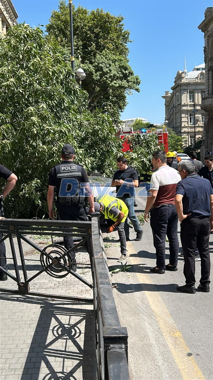 Автомобиль влетел в ограждение в центре Баку
