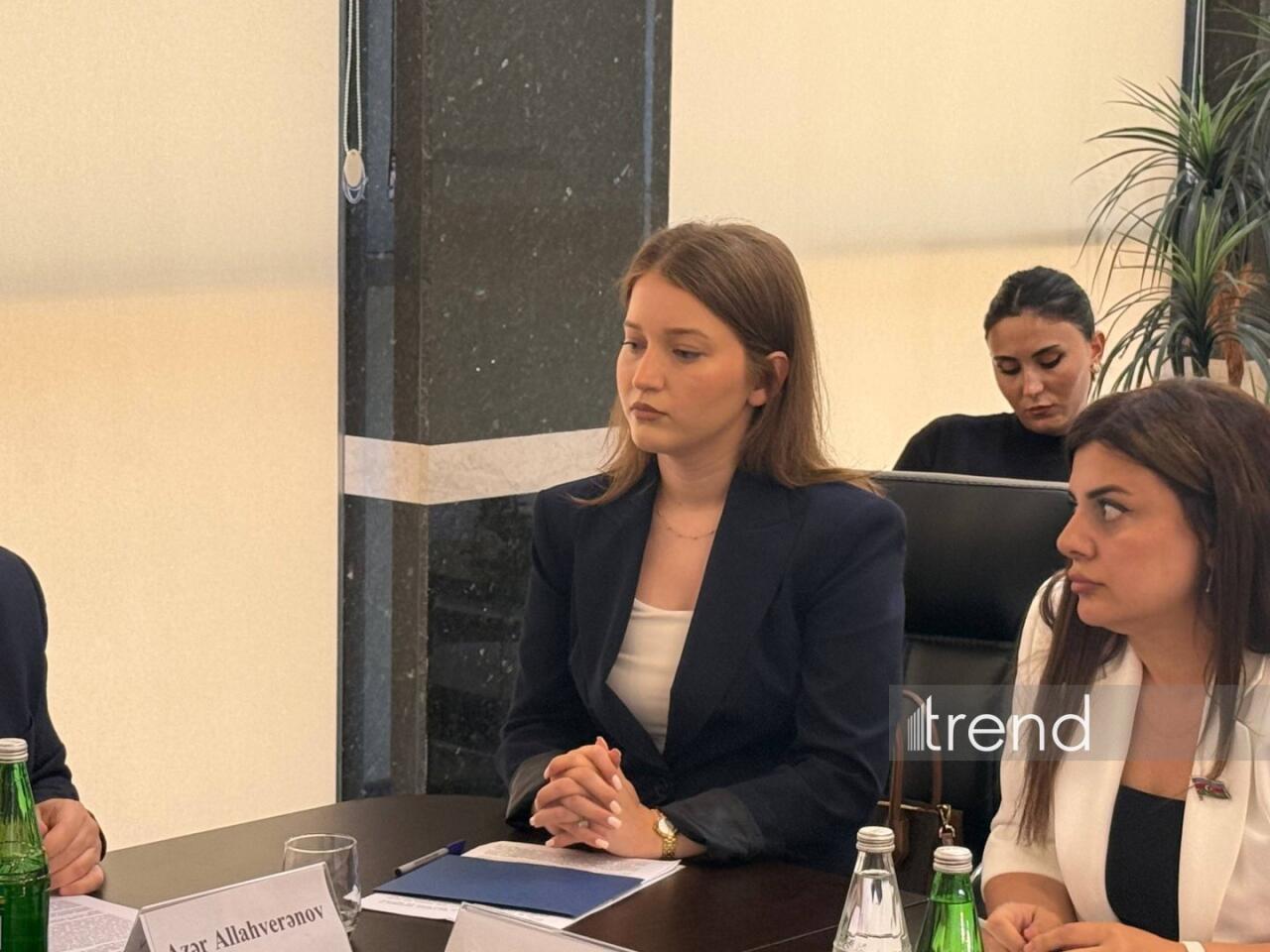 В Азербайджане создадут единую цифровую экосистему для финансирования НПО