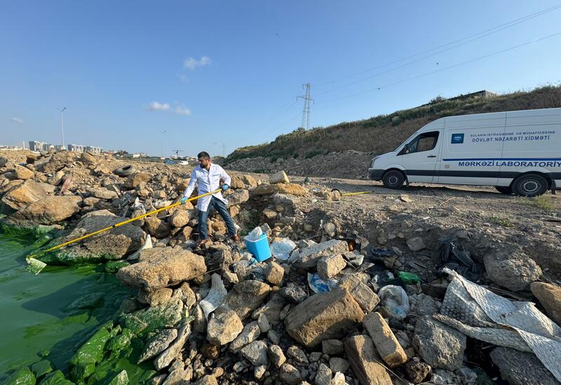 Böyükşor gölündə suyun yaşıl rəng almasının səbəbi müəyyənləşdirilib
