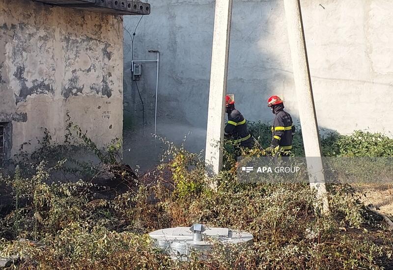 Lənkəranda yanğının ətraf ərazilərə keçməsinin qarşısı alınıb