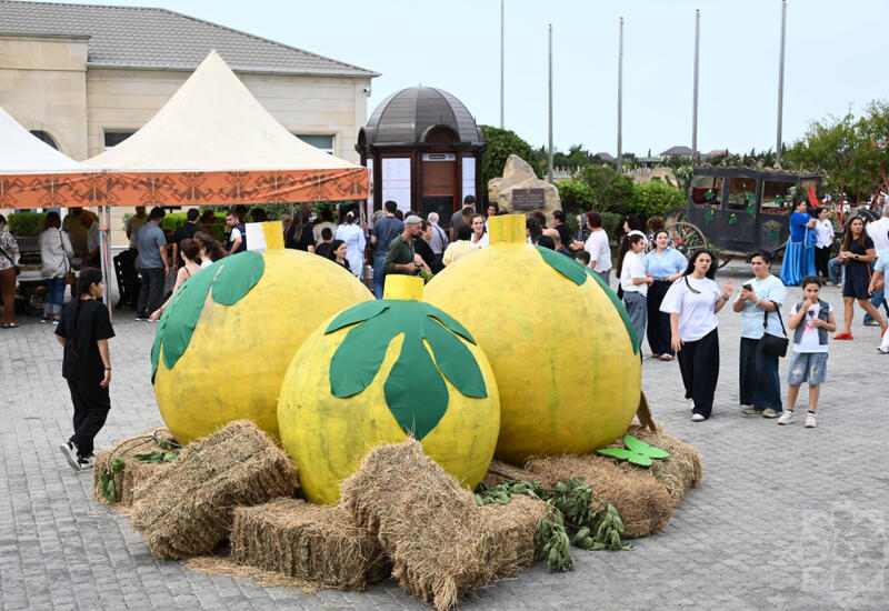 Qala Əncir Festivalı: dad, ənənə və sənət bir arada