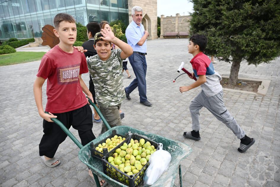 Qala Əncir Festivalı: dad, ənənə və sənət bir arada