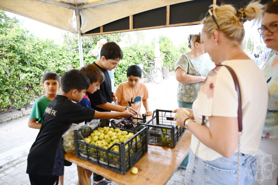 Qala Əncir Festivalı: dad, ənənə və sənət bir arada