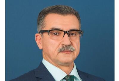 Саммит СВМДА показал успех азиатского вектора Азербайджана  - Новруз Аслан для Day.Az