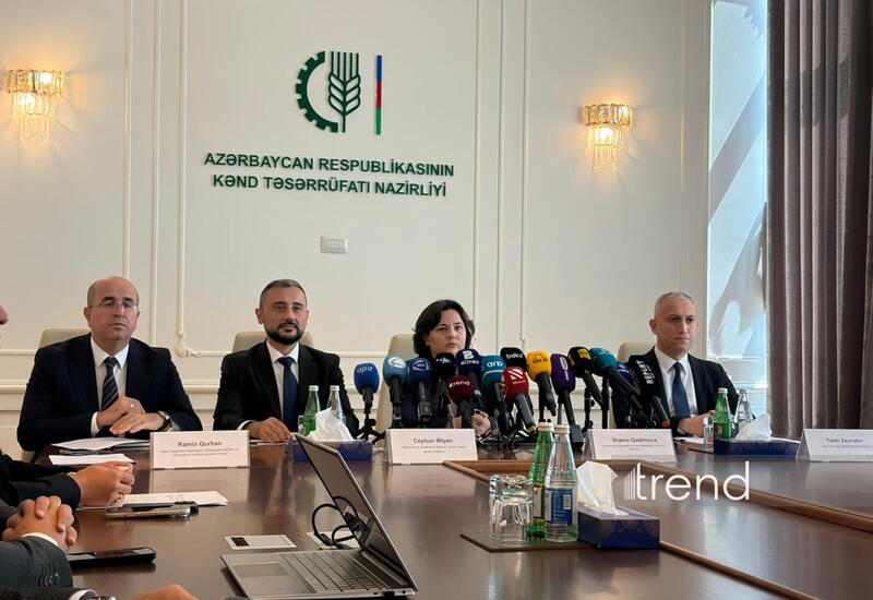 В Азербайджане ужесточат контроль за семенным рынком
