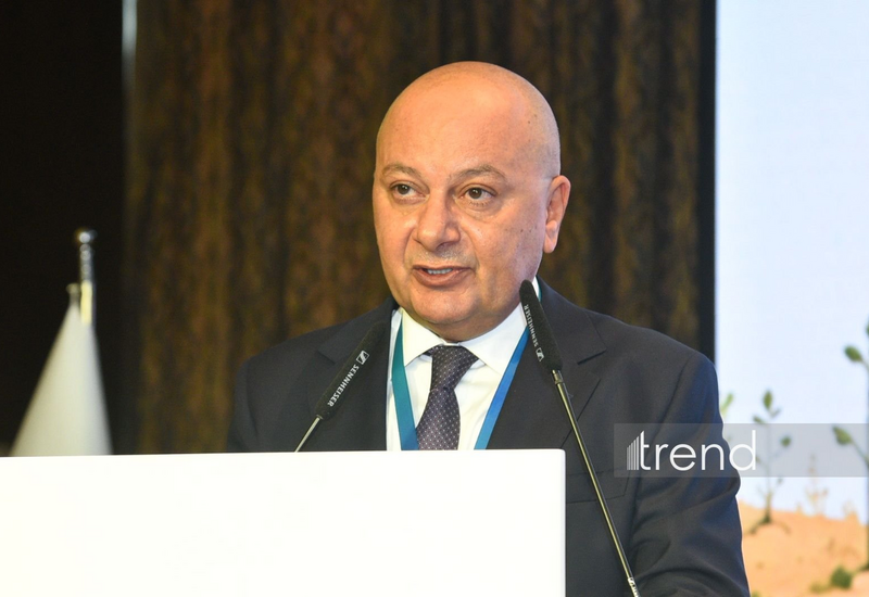 Qarabağda minalardan təmizlənən ərazilərin sahəsi açıqlanıb
