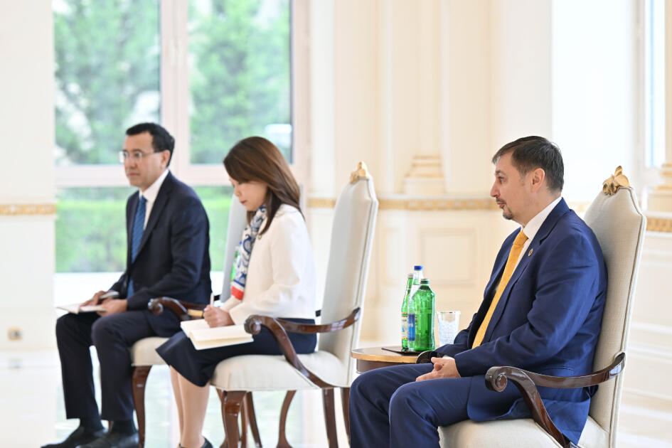 Президент Ильхам Алиев принял новоназначенного координатора-резидента ООН в Азербайджане