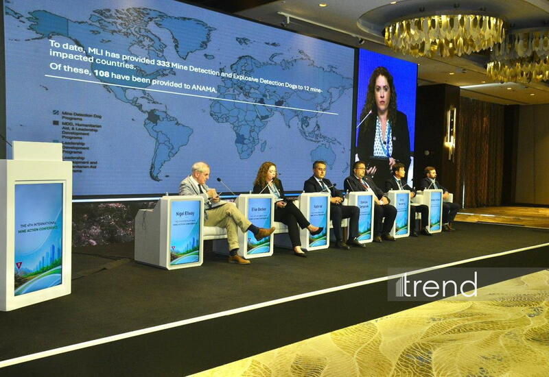 IV Beynəlxalq Minatəmizləmə Konfransı panel müzakirələri ilə davam edir