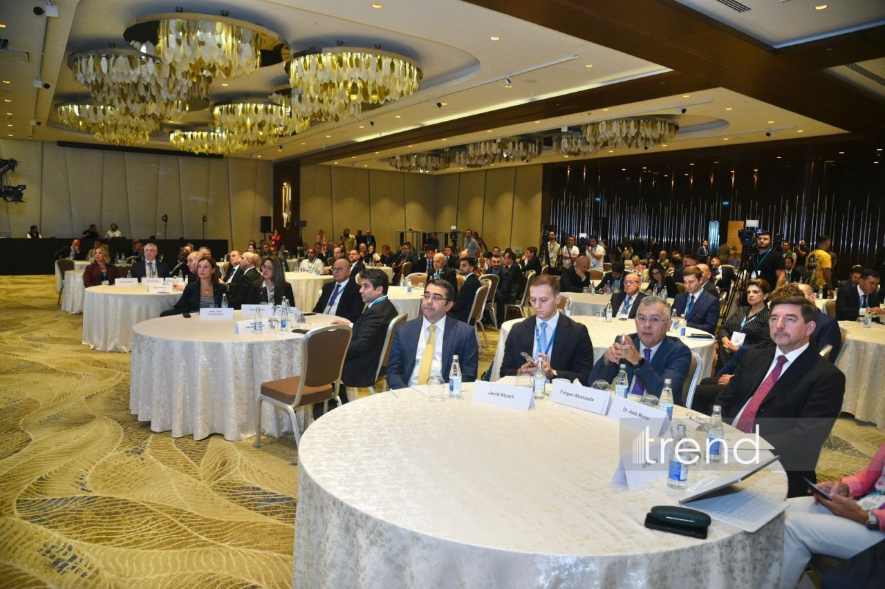 Bakıda IV Beynəlxalq Minatəmizləmə Konfransının ikinci günü keçirilir