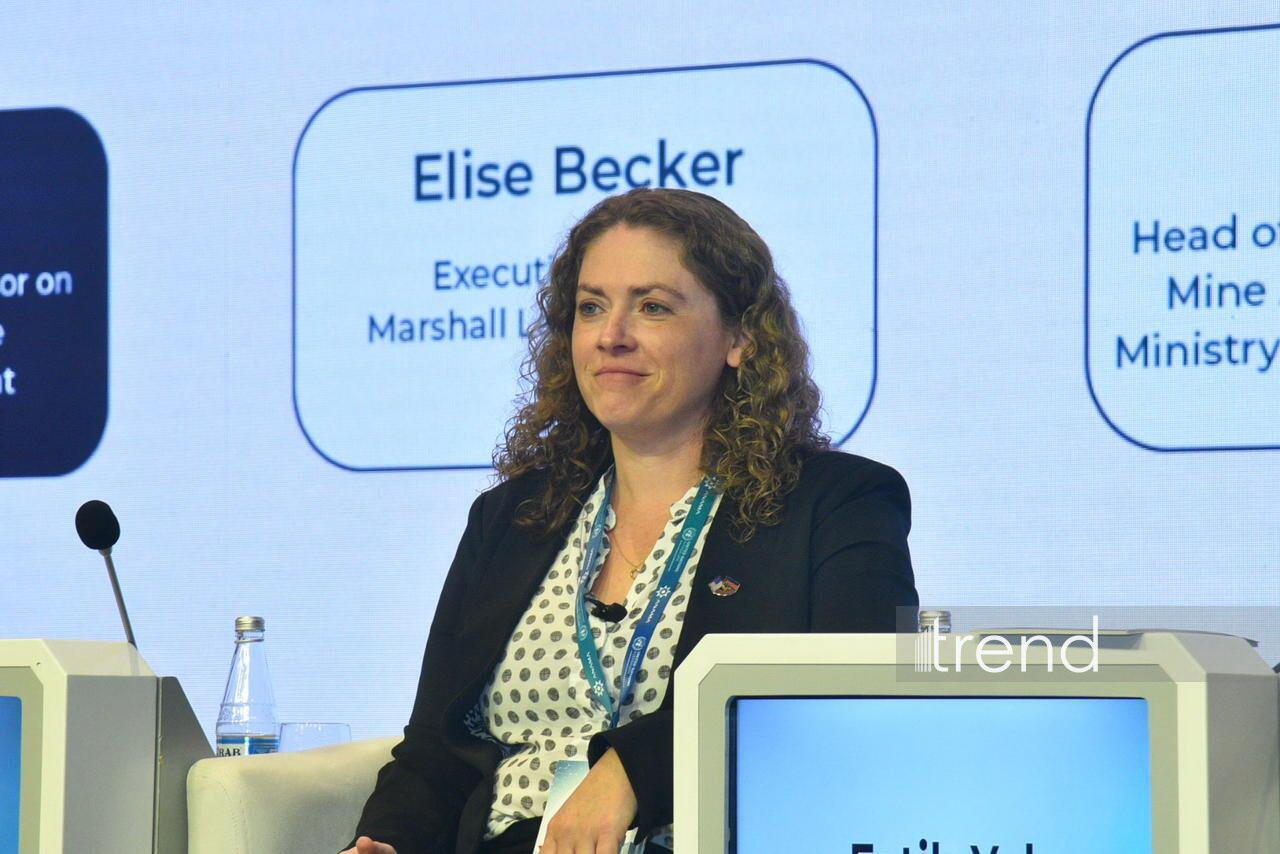 IV Beynəlxalq Minatəmizləmə Konfransı panel müzakirələri ilə davam edir
