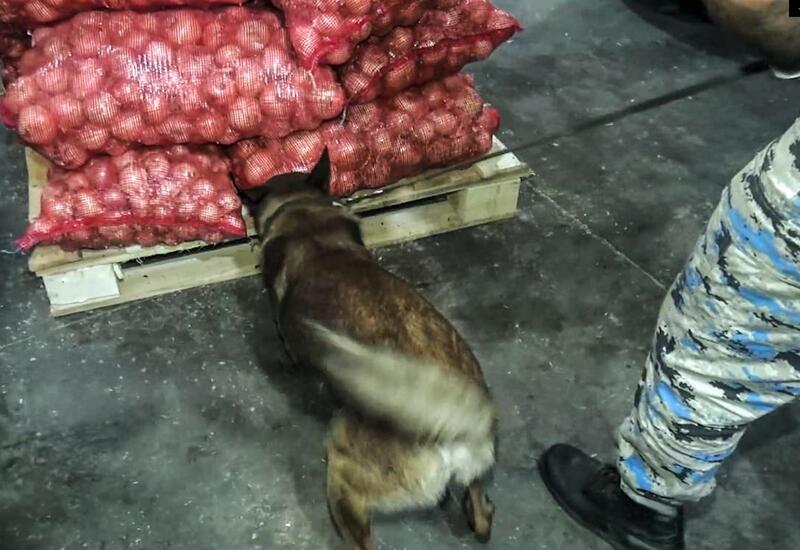 Soğan yükündə marixuana aşkarlandı