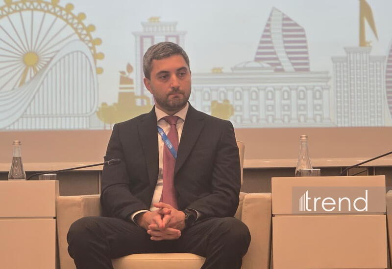SOCAR Green заявила о необходимости новых технологий для развития ВИЭ