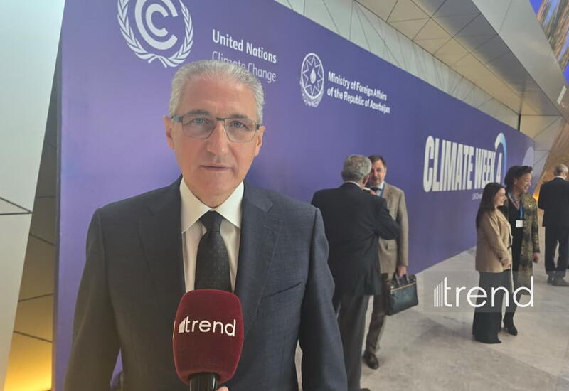 Азербайджан будет представлен на COP31 большой делегацией