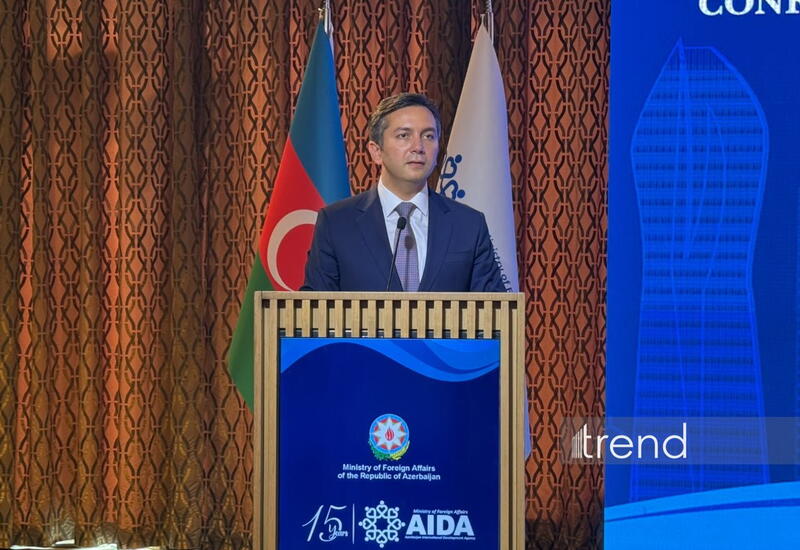 Ялчын Рафиев назвал создание новых партнерств приоритетом AIDA